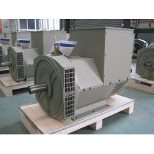 High Quality 160 Kw /200kVA   China Stamford Alternator   (JDG274H)